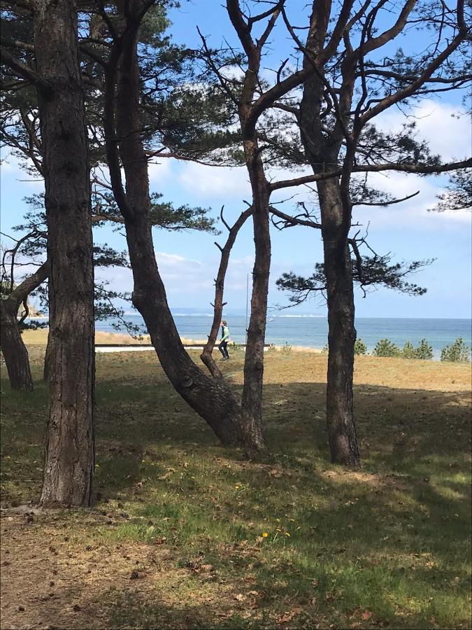Apartament Magnus & Morgentau Goehren  Zewnętrze zdjęcie
